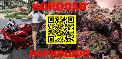гидра Ставрополь