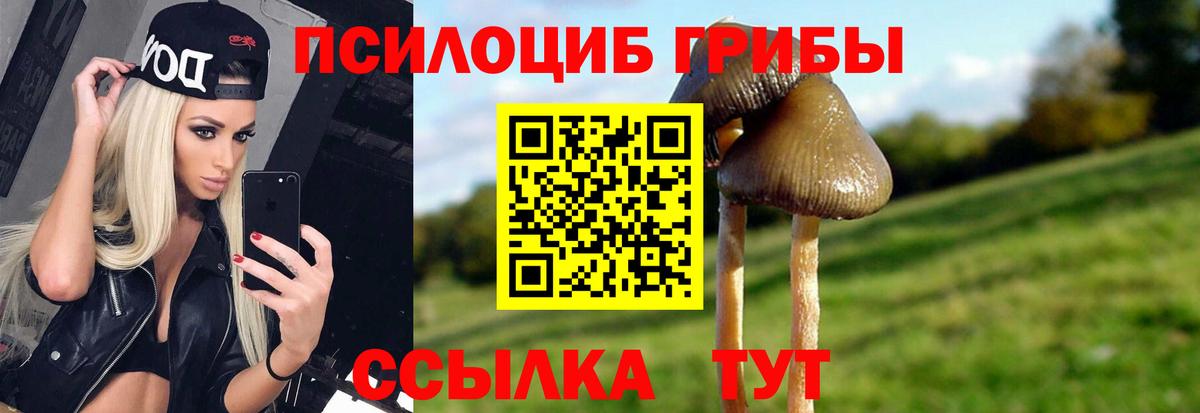 Псилоцибиновые грибы мицелий  Псилоцибиновые грибы мухоморы  Вход с VPN  Михайловка 